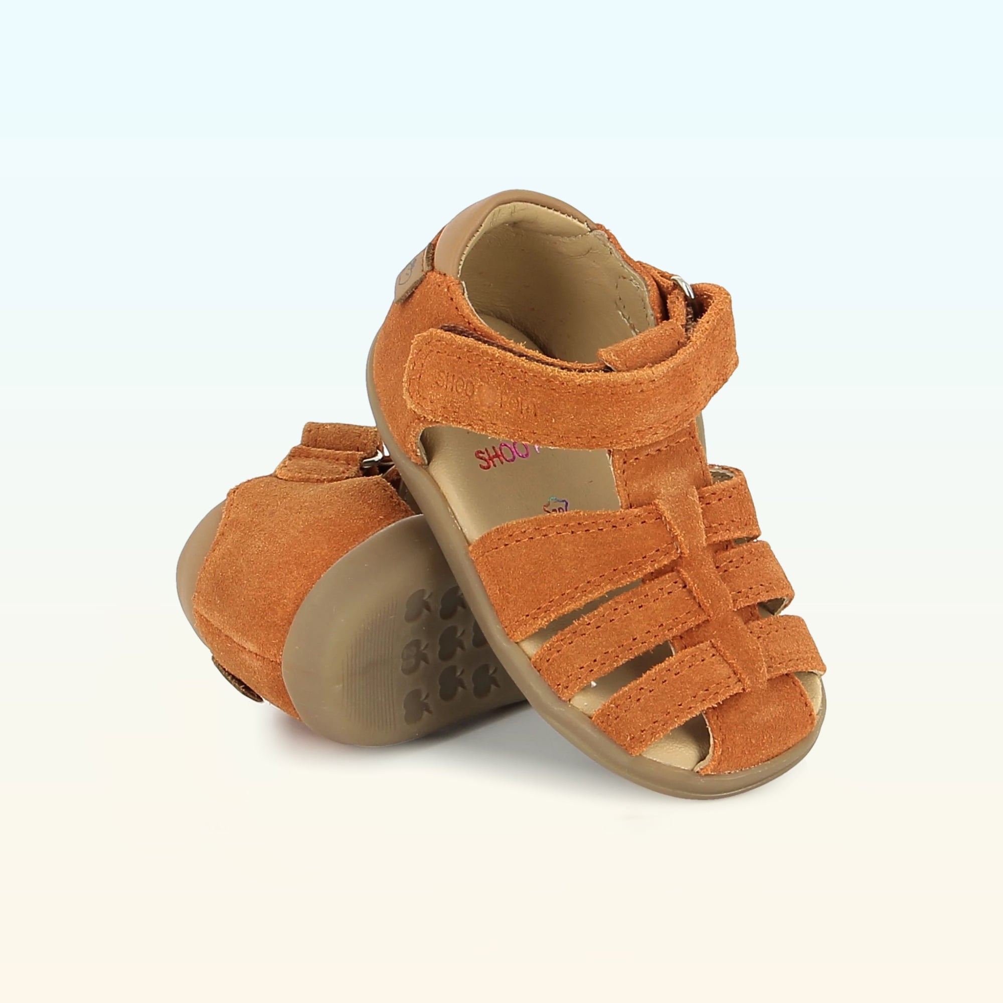 Pika Tonton - PREMIERS