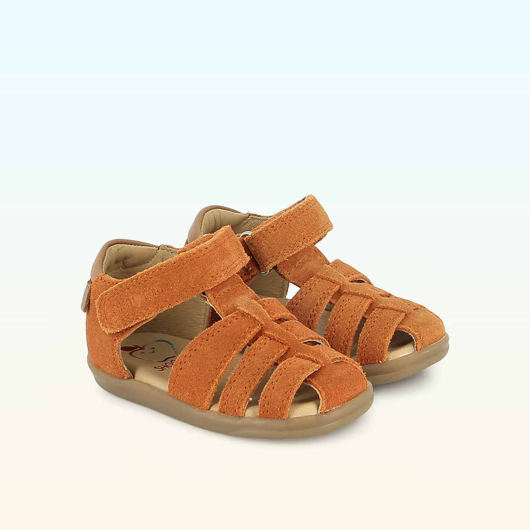 Pika Tonton - PREMIERS