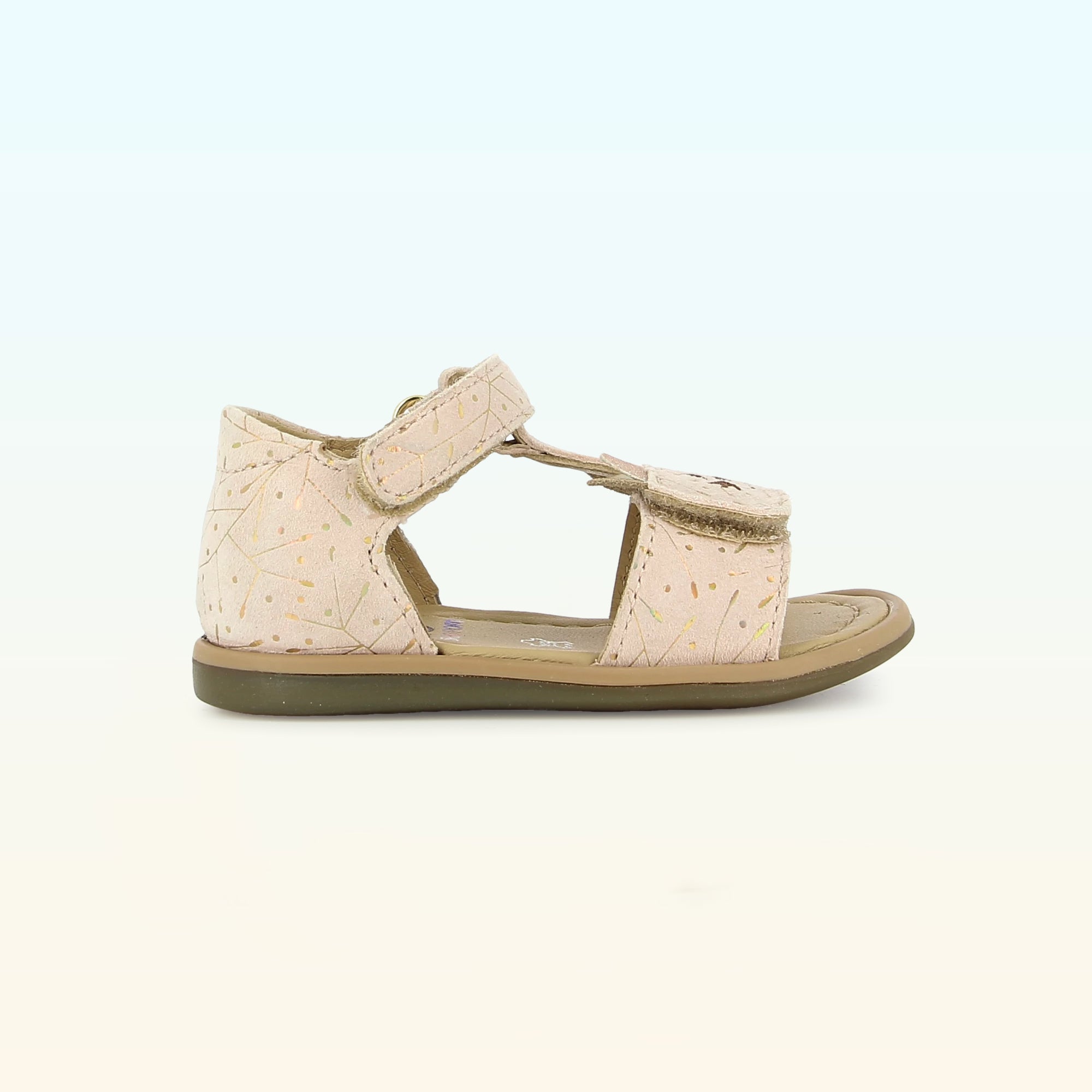 Tity Miaou - PREMIERS