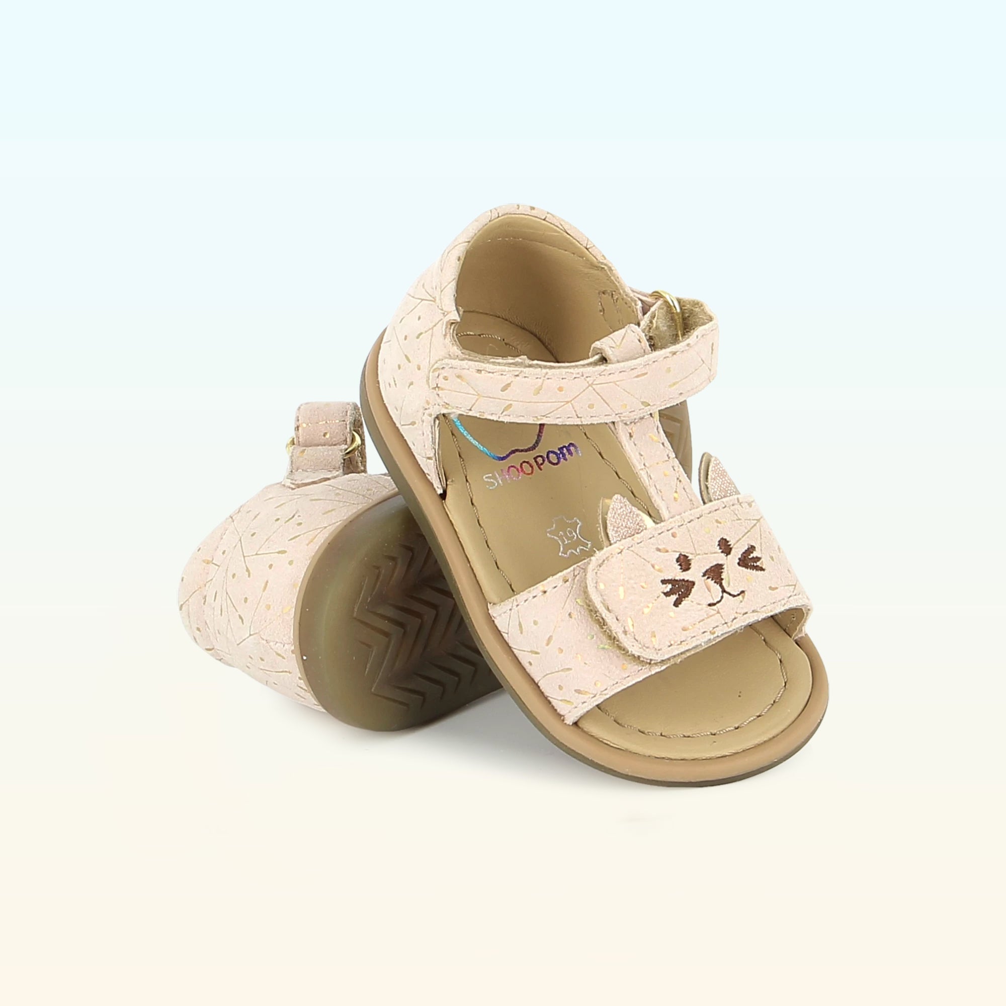 Tity Miaou - PREMIERS