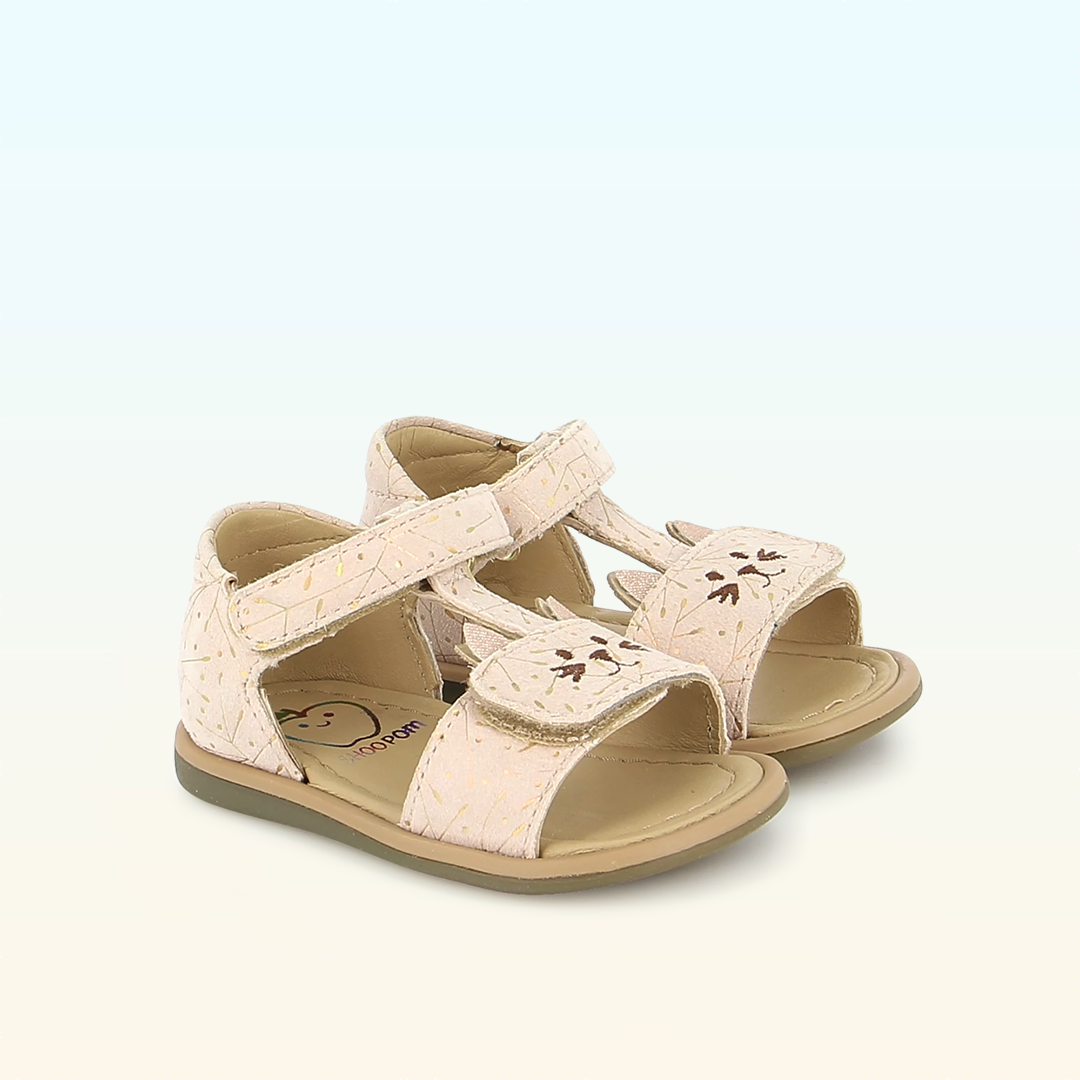 Tity Miaou - PREMIERS