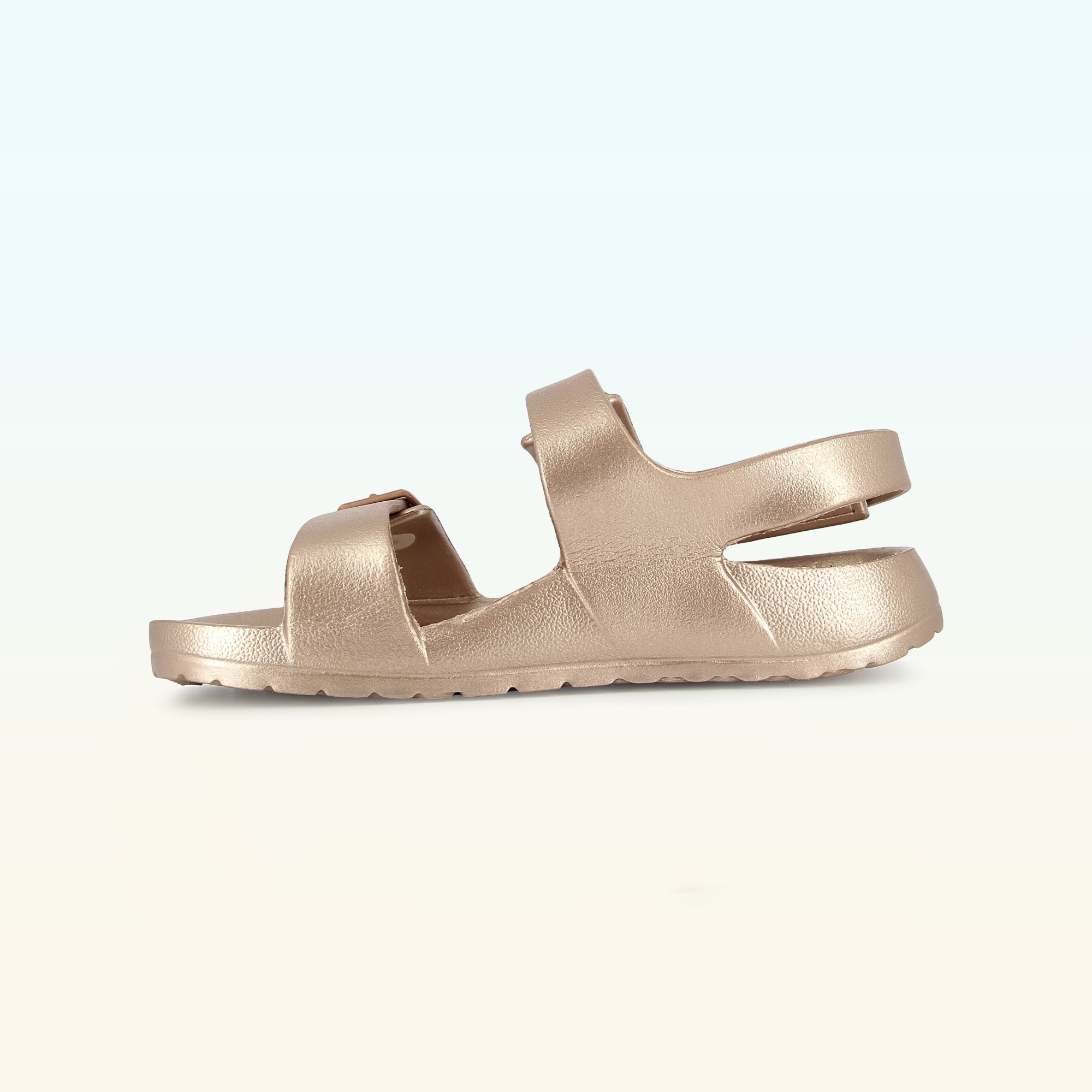 SURFY BUCKLES - ACCESSOIRES
